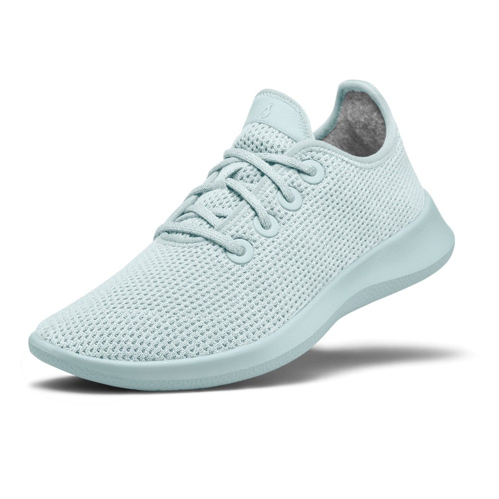 Allbirds on sale shoes price